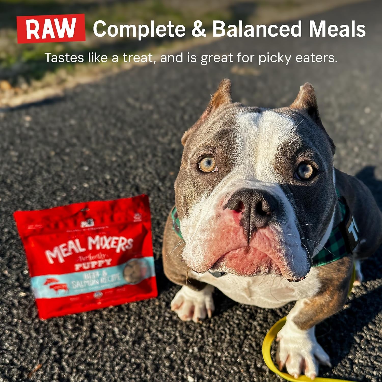 stella-chewys-freeze-dried-raw-meal-mixers-crafted-for-puppies-grain-free-protein-rich-perfectly-puppy-beef-salmon-recipe-3-5-oz-bag