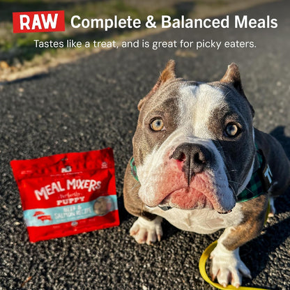 Stella & Chewy'S Freeze Dried Raw Meal Mixers – Crafted for Puppies – Grain Free, Protein Rich Perfectly Puppy Beef & Salmon Recipe – 3.5 Oz Bag11