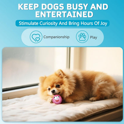 Squeaky Dog Toys Soft Latex Rubber Squeaky Dog Balls for Puppy Small Pet Dogs (8 Pack) (Round Balls)4