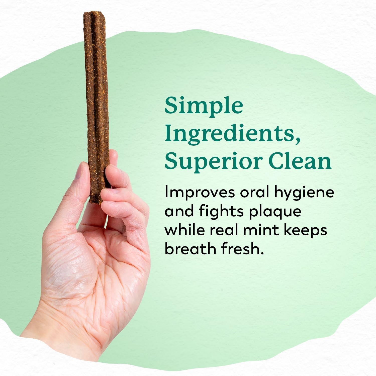 dr-harveys-holistix-dental-chews-for-dogs-for-fresh-breath-24-sticks-mint-sweet-potato-dried-kelp-oyster-shells-supports-teeth-cleaning