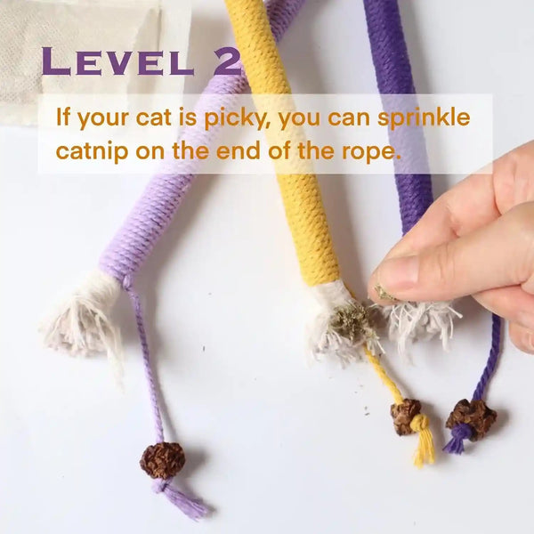 Cat Toys for Indoor Cats, Kitten Toys for Indoor Kittens, Catnip Rope Chew Toys for Teeth Cleaning, Interactive Cat Teething Toy, Kitty Kicker Toy, 3 Pack (Plus 1 Pouch of Catnip)5