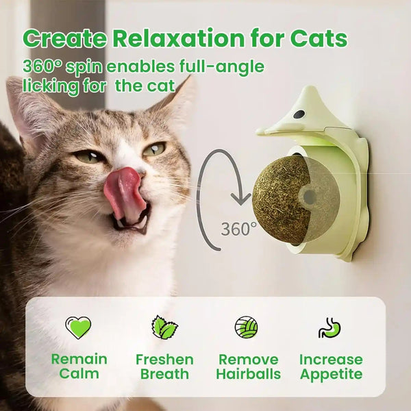 6 Pcs Catnip Ball Toys with Rubbing Shell, Lickable Roller Catnip Toys for Cats Chew, Edible and Refillable Kitten Toys, Teeth Cleaning Dental Indoor Cat Treats Toys, 3 Shells 6 Balls3