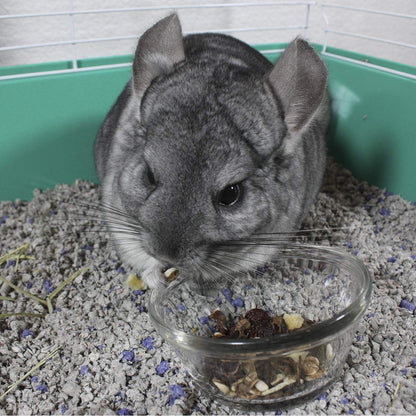 Vitakraft Cocktail Mixed Fruit Chinchilla Treat, 4.5 Oz9