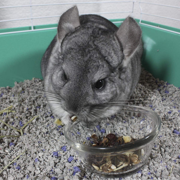 Vitakraft Cocktail Mixed Fruit Chinchilla Treat, 4.5 Oz9