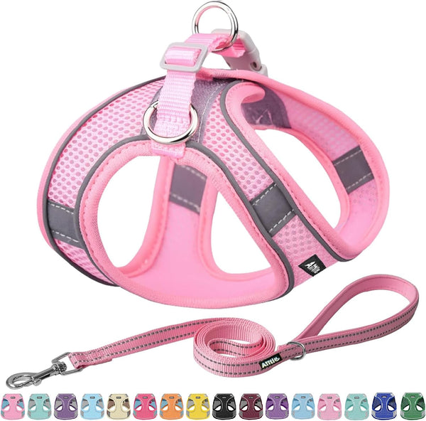 AIITLE No Pull Dog Harness and Leash Set, Step in Adjustable Dog Harness with Padded Vest for All Weather, Dog Leash with Soft Padded Handle, Easy to Put on Small and Medium Dogs Beige S20
