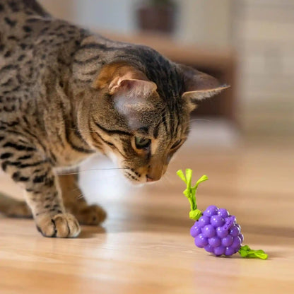 Catstages Bouncing Grape Teether Cat Toy, Soft and Textured Chew, Catnip Oil Coating5
