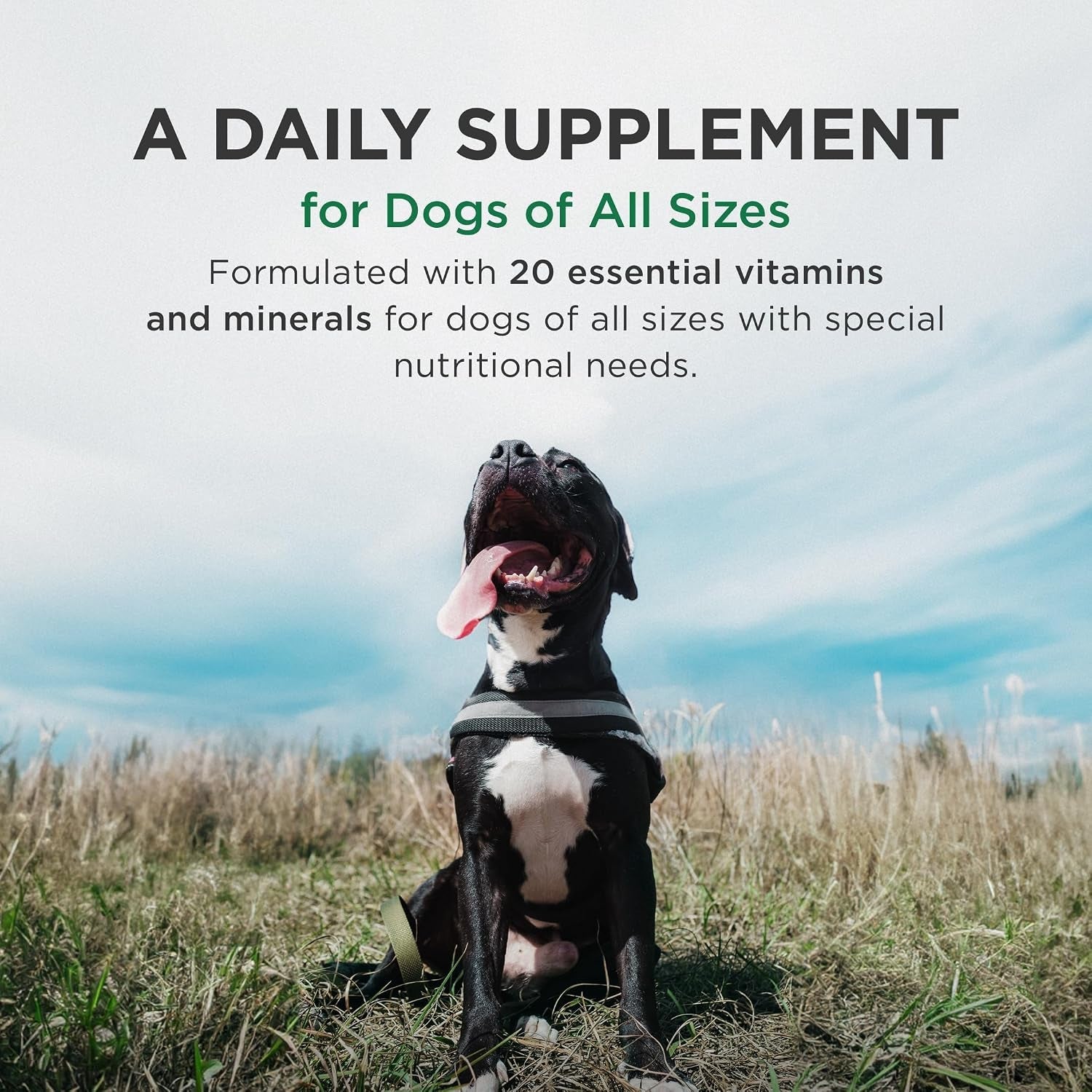 zoetis-pet-tabs-plus-180ct-brown-10000276-20-essential-minerals-vitamins-restorative-formula-for-aging-working-dogs-stress-recovery-supports-nutritional-gaps