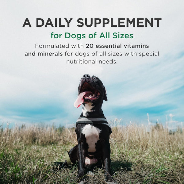 Zoetis Pet Tabs plus 180Ct,Brown,10000276 | 20 Essential Minerals & Vitamins, Restorative Formula for Aging & Working Dogs, Stress Recovery, Supports Nutritional Gaps3