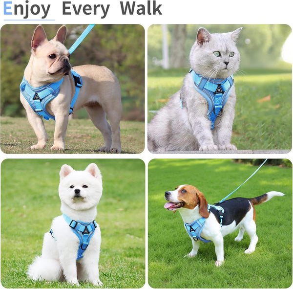 No Pull Dog Harness with Leash Set for Small Sized Dog, Reflective Adjustable No Choke Front Clip Cat Vest Harness with Breathable Mesh, Comfortable Soft Padded Pet Vest, Blue M6