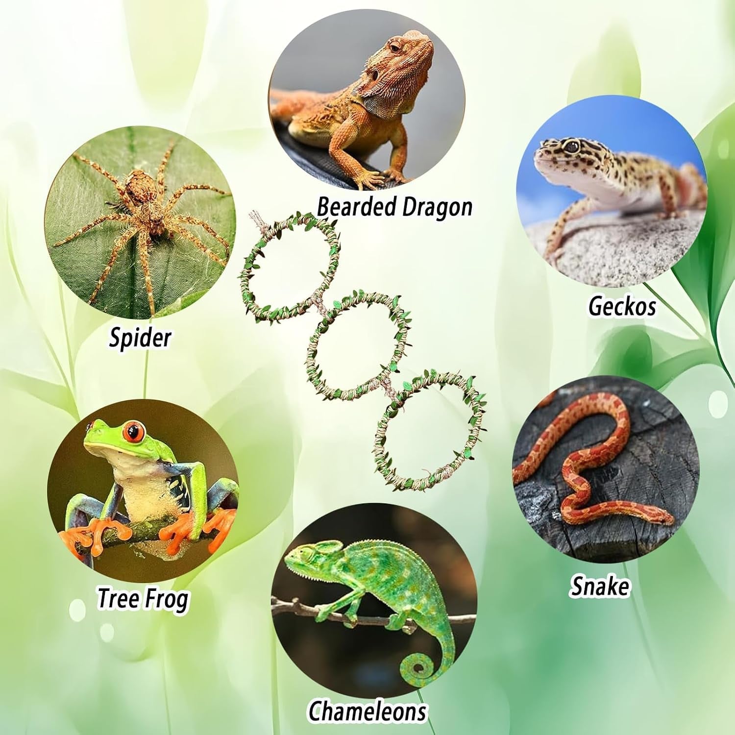 snake-climbing-rings-for-ball-python-enclosure-accessories-reptile-habitat-decor-climbing-branches-bedding-for-ball-python-for-corn-snake-enhancement-ring-toys