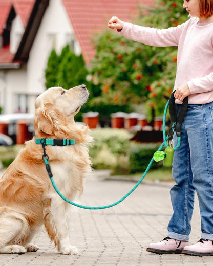 Dynmeow Reflective Dog Collar and Leash Set for Large Dogs, Teal | Soft Neoprene Padded, 6FT Climbing Rope, Ideal for Daily Outdoor Walking or Indoor Wearing, Night Visible for Safety5