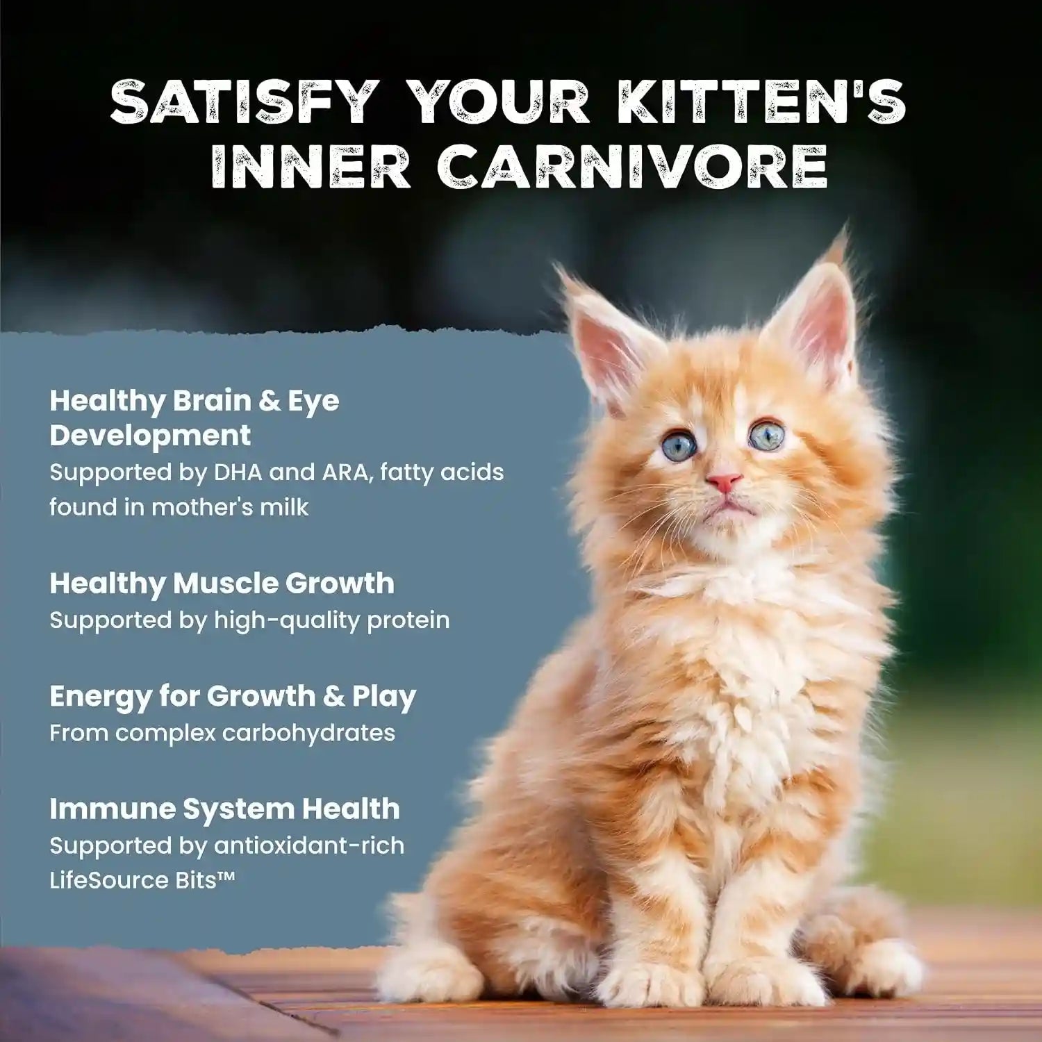blue-buffalo-wilderness-with-chicken-natural-high-protein-grain-free-dry-cat-food-for-kittens-real-chicken-first-antioxidant-rich-lifesource-bits-support-immunity-dha-ara-for-development-5-lbs