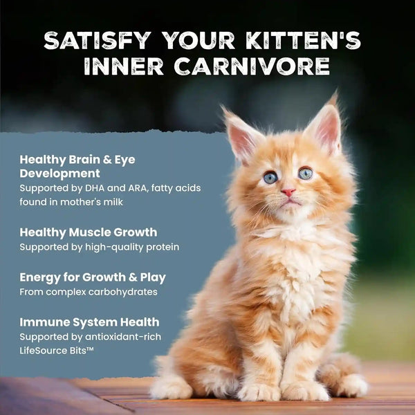 Blue Buffalo Wilderness with Chicken Natural High-Protein Grain-Free Dry Cat Food for Kittens, Real Chicken First, Antioxidant-Rich Lifesource Bits Support Immunity, DHA & ARA for Development, 5 Lbs.5