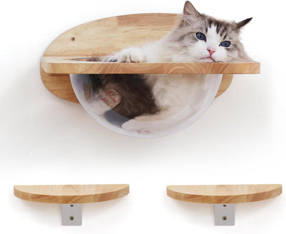 FUKUMARU Cat Wall Furniture Set, Transparent Capsule with 2 PCS Pedals | Kitten Walls Shelves, Premium Kitty Bed, for Sleeping, Playing, Climbing, Lounging, Holds up to 35 Lbs1