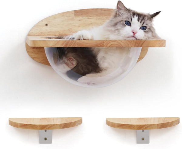 FUKUMARU Cat Wall Furniture Set, Transparent Capsule with 2 PCS Pedals | Kitten Walls Shelves, Premium Kitty Bed, for Sleeping, Playing, Climbing, Lounging, Holds up to 35 Lbs1