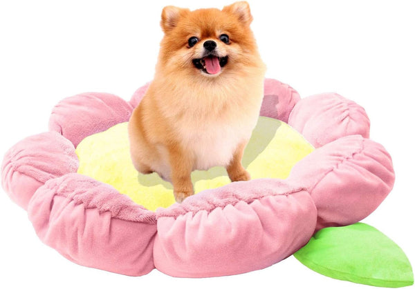 TONBO Soft Plush Small Cute and Cozy Nature Dog Cat Bed, Washer and Dryer Friendly (Sunflower)10