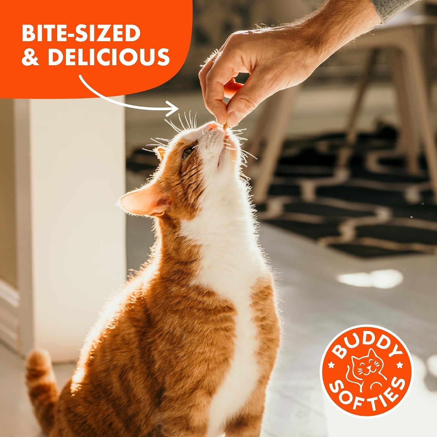 buddy-biscuits-soft-chewy-grain-free-cat-treats-tuna-3-oz-pouch