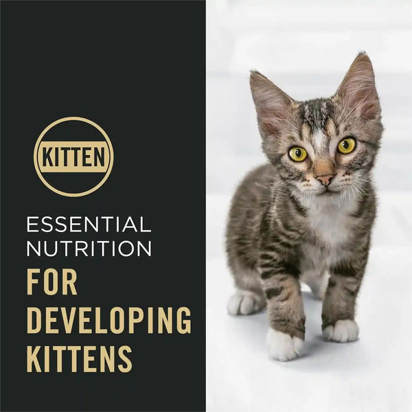 Purina Pro Plan Kitten Dry Food Complete Essentials Shredded Blend Chicken and Rice Formula 6 Pound (Pack of 1)3