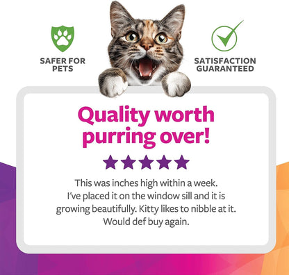 Smartykat Sweet Greens Organic Oat Grass All-In-One Cat Grass Grow Kit, Easy-To-Grow to Support Digestion & Hairball Reduction6
