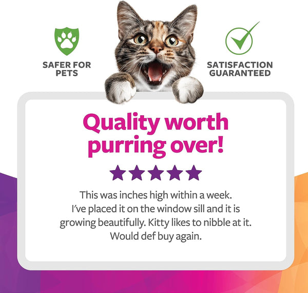 Smartykat Sweet Greens Organic Oat Grass All-In-One Cat Grass Grow Kit, Easy-To-Grow to Support Digestion & Hairball Reduction6