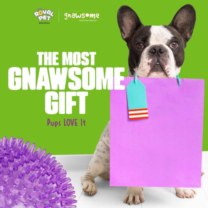 Gnawsome™ 4.5” Spiky Squeaker Ball Dog Toy - Extra Large, Cleans Teeth and Promotes Good Dental and Gum Health for Your Pet, Colors Will Vary, 4.5"5