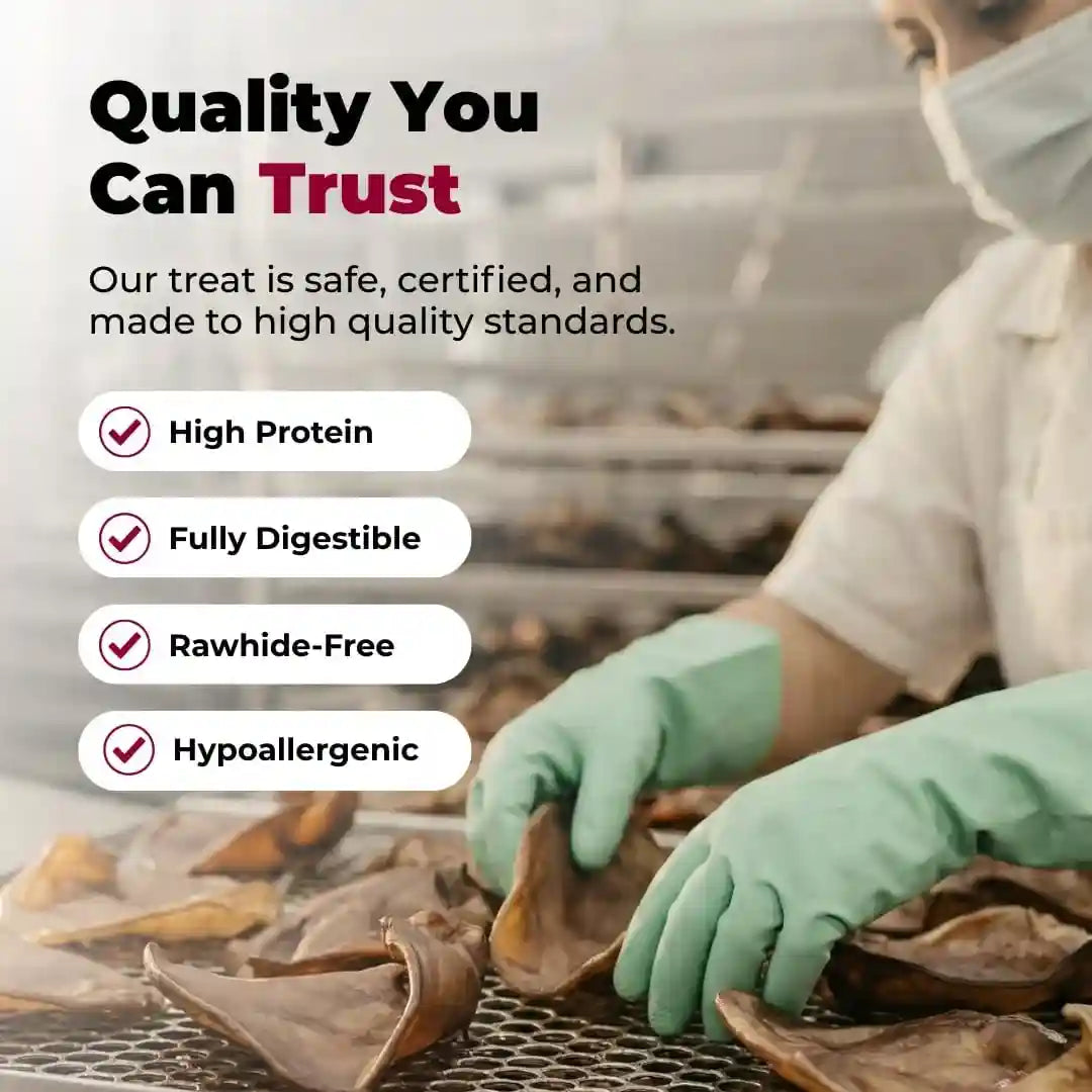 best-pet-supplies-gigabite-whole-pig-ears-for-dogs-25-count-single-ingredient-all-natural-pig-ears-supports-dental-health-perfect-for-training-slow-roasted-chews