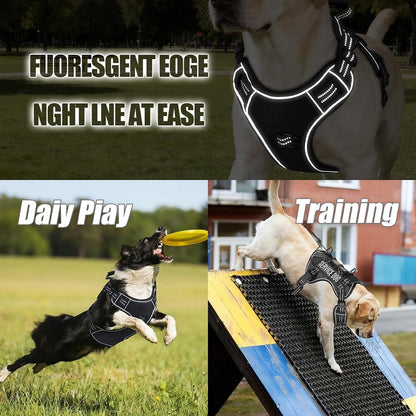Service Dog Tactical Vest Harness and Leash Set Large Sized Dog Emotional Support- Tactical Dog Harness Training Collar with Name (Black, L)7