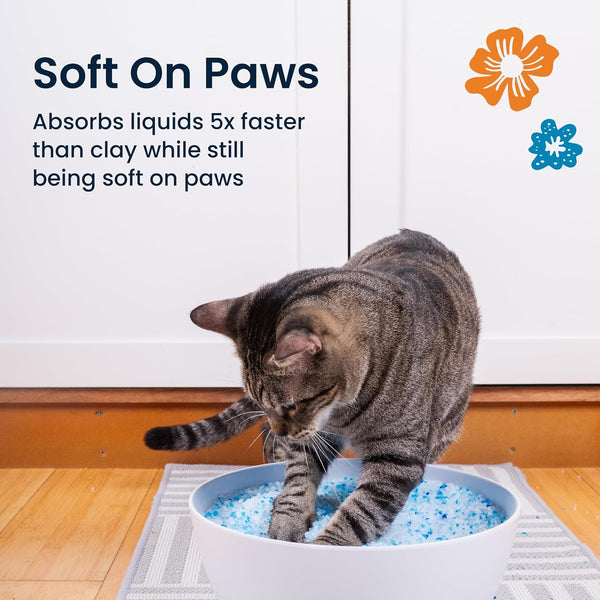 Crystal Clean Premium Fresh Scent Crystal Cat Litter with Odor Control (5X Faster), Best Lightweight, Non Clumping Kitty Litter to Absorb Urine, Dries Solid Waste (2X4.3 Lb Bags)5