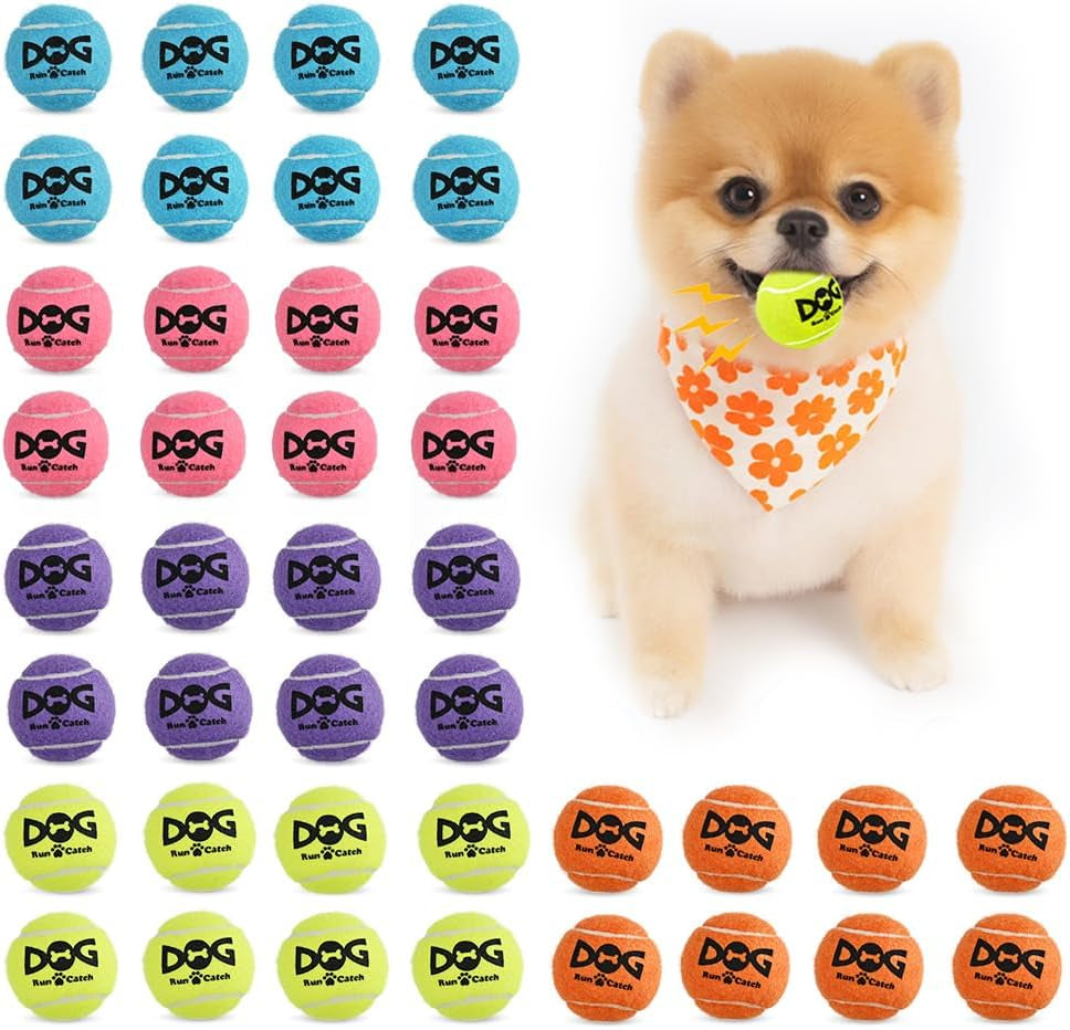 insum-small-tennis-balls-for-dogs-2-inch-20-pack-squeaky-dog-balls-built-in-squeaker-durable-sgs-non-toxic-test-mini-tennis-balls-for-small-breeds-with-mesh-bag