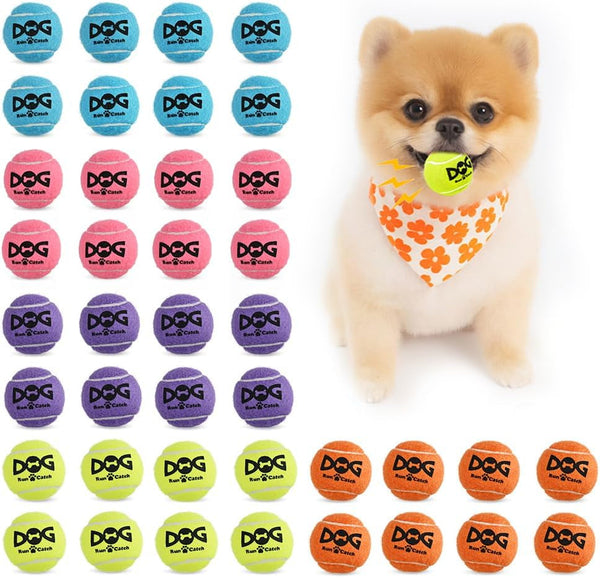 INSUM Small Tennis Balls for Dogs - 2 Inch 20 Pack Squeaky Dog Balls | Built in Squeaker, Durable, SGS Non-Toxic Test, Mini Tennis Balls for Small Breeds, with Mesh Bag11