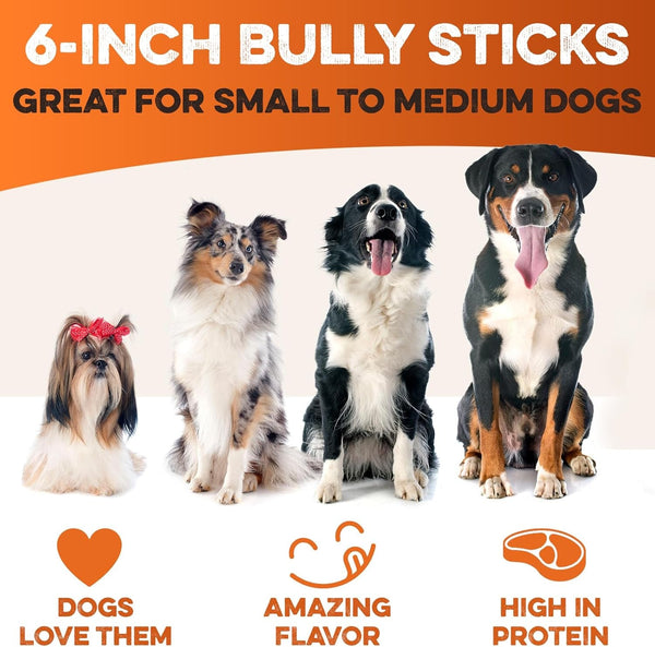 BRUTUS & BARNABY Bully Sticks for Small, Medium & Large Dogs, 6 Inch, 12 Ct | Long Lasting Thick Grass Fed Beef Pizzle Chew Treats, Odor Free and Rawhide Free, Great for Aggressive Chewers5