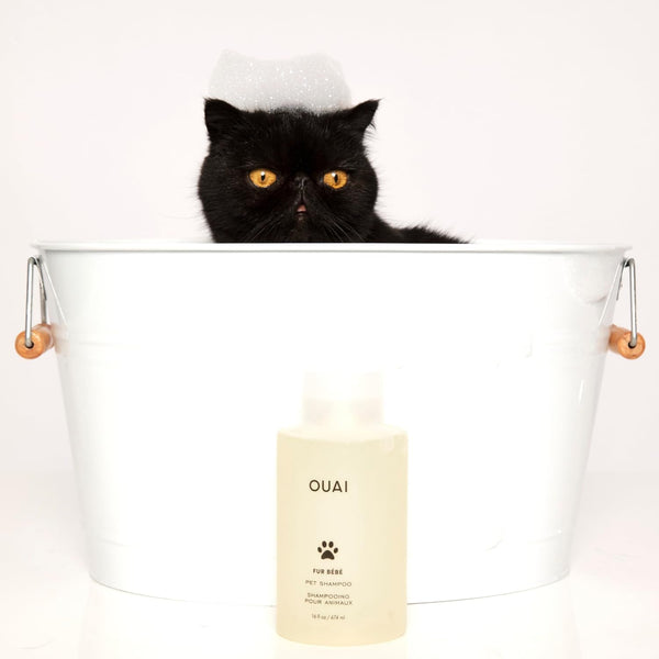 OUAI Fur Bébé Pet Shampoo - Cat & Dog Shampoo for Gentle Cleansing, Hydration & Shine - Vegan & Cruelty-Free Pet Supplies with Aloe Vera & Panthenol - Mercer Street Scent (16 Fl Oz)7