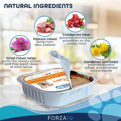 Forza10 Renal Wet Dog Food for Adult Dogs - 3.5 Oz, 12 Pack - Lamb Flavor | Actiwet Renal Support Vet-Formulated with Cranberries, Dried Dandelion and Dried Clover - Non-Gmo - Made in Italy3