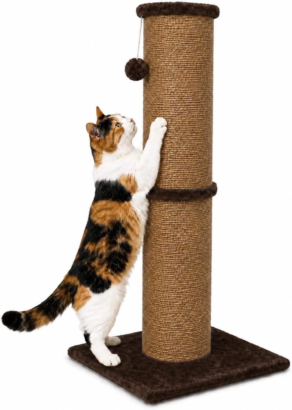 pawscrat-32-inch-tall-cat-scratching-post-5-5-inch-diameter-sisal-beige-natural-sisal-scratching-surface-with-a-dangling-ball-for-indoor-cats-scratch-resistant-durable-and-protect-your-furniture