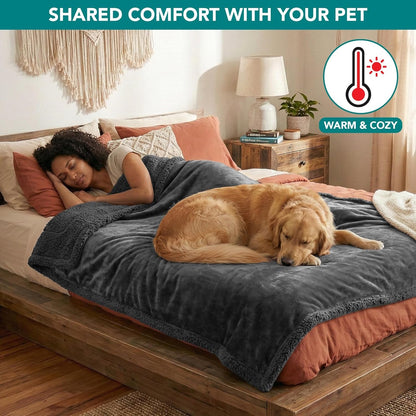 Petami Waterproof Dog Blanket for Couch, Extra Large 80X60, Pee Proof Sherpa Fleece Reversible Pet Throw, Furniture Protector for Bed Sofa Crate Kennel, Soft Washable Cover for Dog Cat, Grey Sherpa4