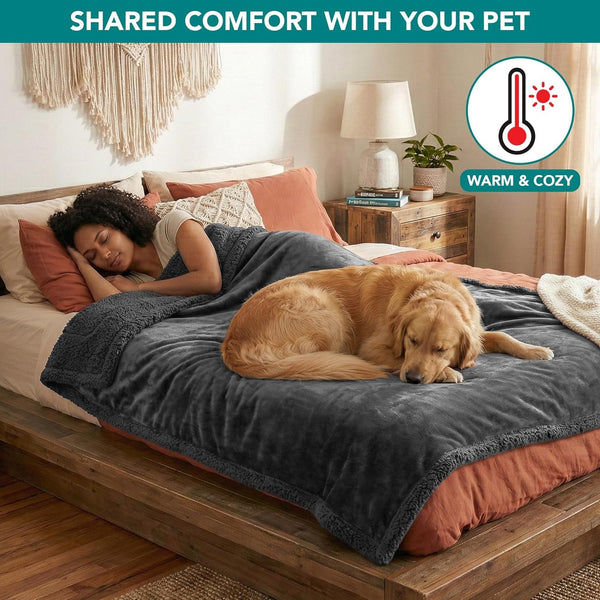 Petami Waterproof Dog Blanket for Couch, Extra Large 80X60, Pee Proof Sherpa Fleece Reversible Pet Throw, Furniture Protector for Bed Sofa Crate Kennel, Soft Washable Cover for Dog Cat, Grey Sherpa4