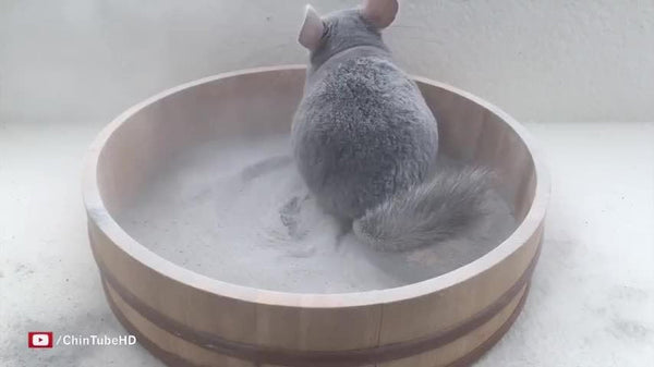 Lixit Blue Beauty® Chinchilla Dust Powder - Dry Bath Grooming Dust for Hamsters, Gerbil, Degus, and Small Animals - Made in the USA (3 Pound)4