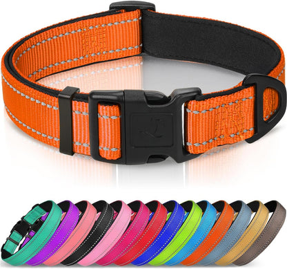 Joytale Reflective Dog Collar, Adjustable Neoprene Padded, Teal L | Breathable Nylon for Large Dogs, No Chafing on Walks and Outdoor Hikes, Tear-Resistant Webbing, Metal D-Ring, Night Safety8