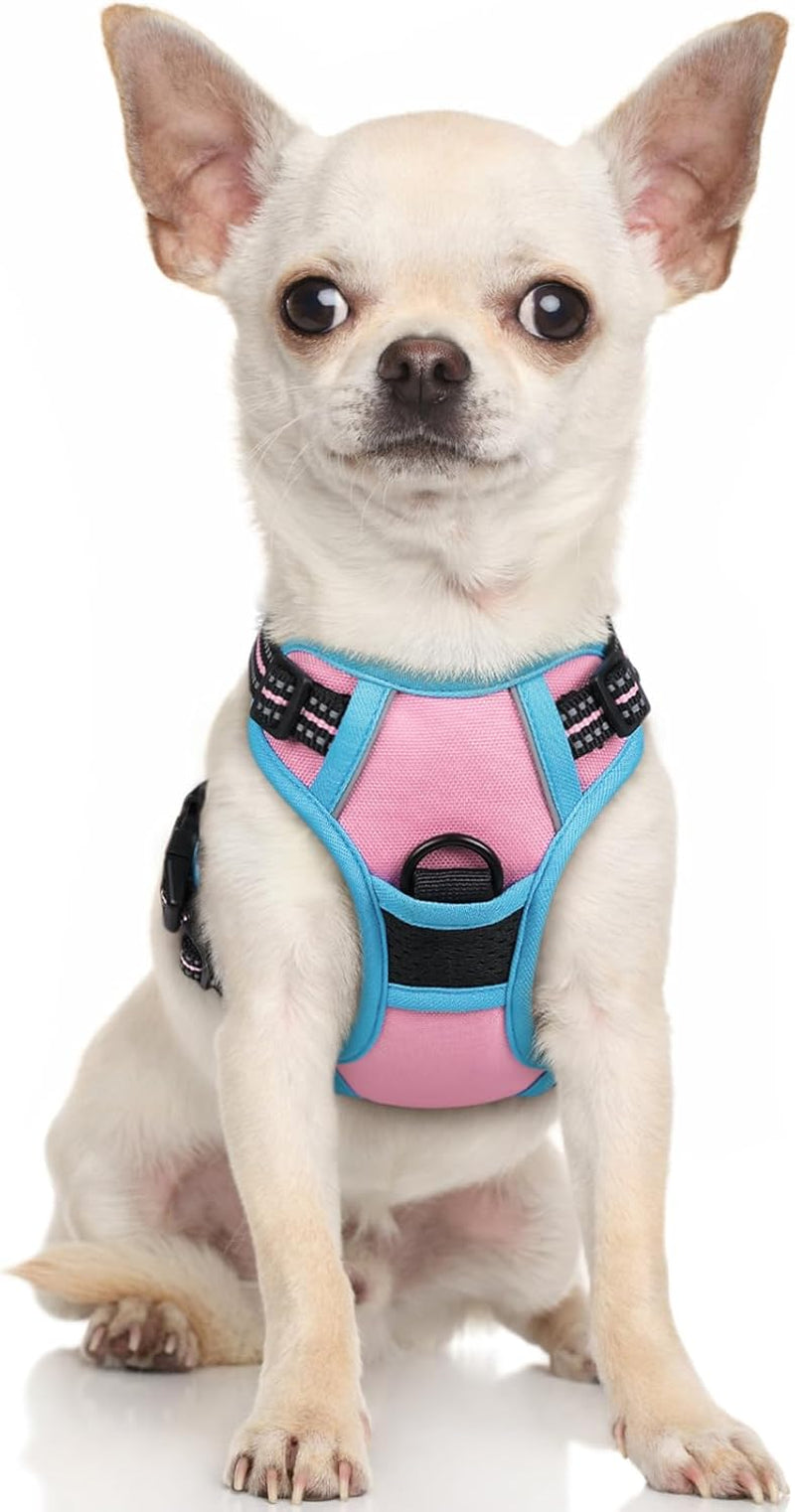 rabbitgoo-dog-harness-no-pull-for-large-dogs-with-2-leash-clips-pet-vest-no-choke-with-handle-adjustable-soft-padded-reflective-easy-control-for-walking-black-large