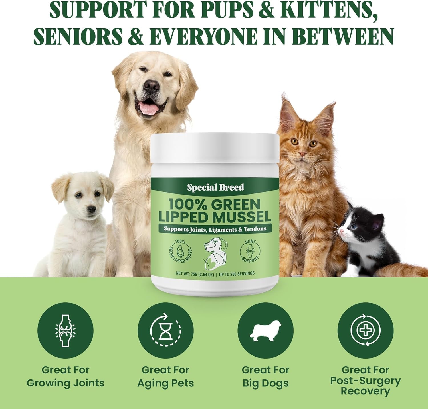 green-lipped-mussel-powder-for-dogs-cats-100-new-zealand-green-lipped-mussels-natural-hip-joint-supplement-for-joints-tendons-ligaments-muscles-75-grams-up-to-250-servings