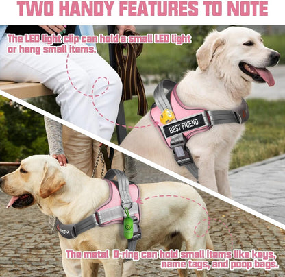 AUROTH Dog Harness and Leash Set, Soft Padded Service Dog Vest with 5.25FT Dog Leash, No Choke, Easy on Pet Vest, Adjustable Reflective No Pull Pet Vest Medium Sized Dog, Easy Walking and Training2