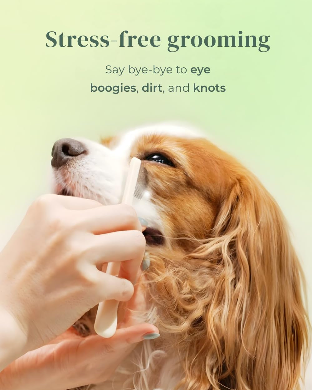 petora-brush-on-me-gentle-facial-eye-comb-for-dogs-cats-smooth-stress-free-tear-stain-remover-fine-tooth-grooming-tool-with-rounded-tips-comfortable-grip-for-daily-pet-grooming