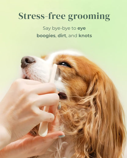 [Petora] BRUSH on ME Gentle Facial & Eye Comb for Dogs & Cats | Smooth & Stress-Free Tear Stain Remover | Fine-Tooth Grooming Tool with Rounded Tips | Comfortable Grip for Daily Pet Grooming3