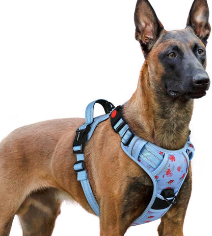 Rabbitgoo Dog Harness Medium Sized, Updated Easy on & off with 3 Buckles | No Pull No Choke, Walking with 2 Clips and Handle, Adjustable Soft Reflective, Blue, Medium53