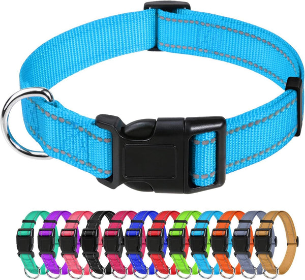 Tagme Small Dog Collar, Reflective Puppy Collar, Sky Blue, 3/8" Width | Lightweight, Nylon Collar for Puppies, Chihuahua, Yorkie & Teacup Dogs 5-15 Lbs, Reflective for Evening Walks, 12 Colors27