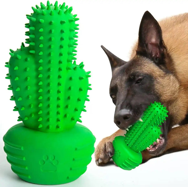 Pamlulu Dog Chew Toys Dog Toothbrush Stick Teeth Cleaning Brush Dental for Medium Large Dog, Puppy Christmas Easter Birthday Gifts, Outdoor Squeaky Toys for Aggressive Chewers Interactive Tough Toys10