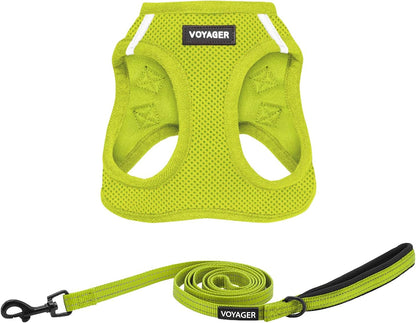 Best Pet Supplies Voyager Step-In Air All Weather Mesh Harness and Reflective Dog 5Ft Leash Combo with Neoprene Handle, for Small, Medium and Large Breed Puppies - Baby Blue, Small25