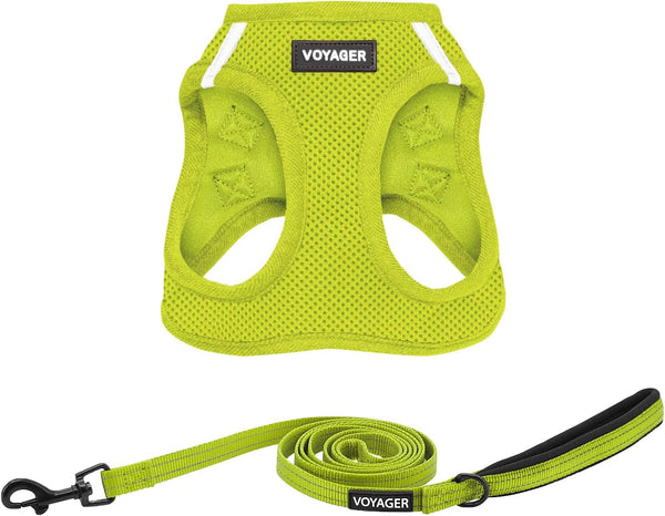 Best Pet Supplies Voyager Step-In Air All Weather Mesh Harness and Reflective Dog 5Ft Leash Combo with Neoprene Handle, for Small, Medium and Large Breed Puppies - Baby Blue, Small25