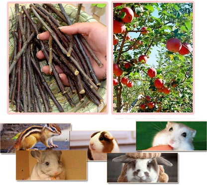 Sharllen 100G (3.5Oz) Apple Sticks Pet Snacks Chew Toys for Guinea Pigs Chinchilla Squirrel Rabbits Hamster5