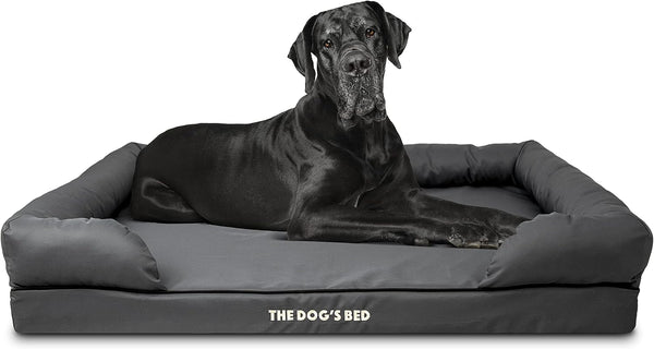The Dog’S Bed Orthopedic Memory Foam Dog Bed with Bolsters for Large Dogs, High Density Support Mattress, Low Front Entry, Removable Washable Cover, Oxford Fabric, Blue with Dark Red Trim, Large25